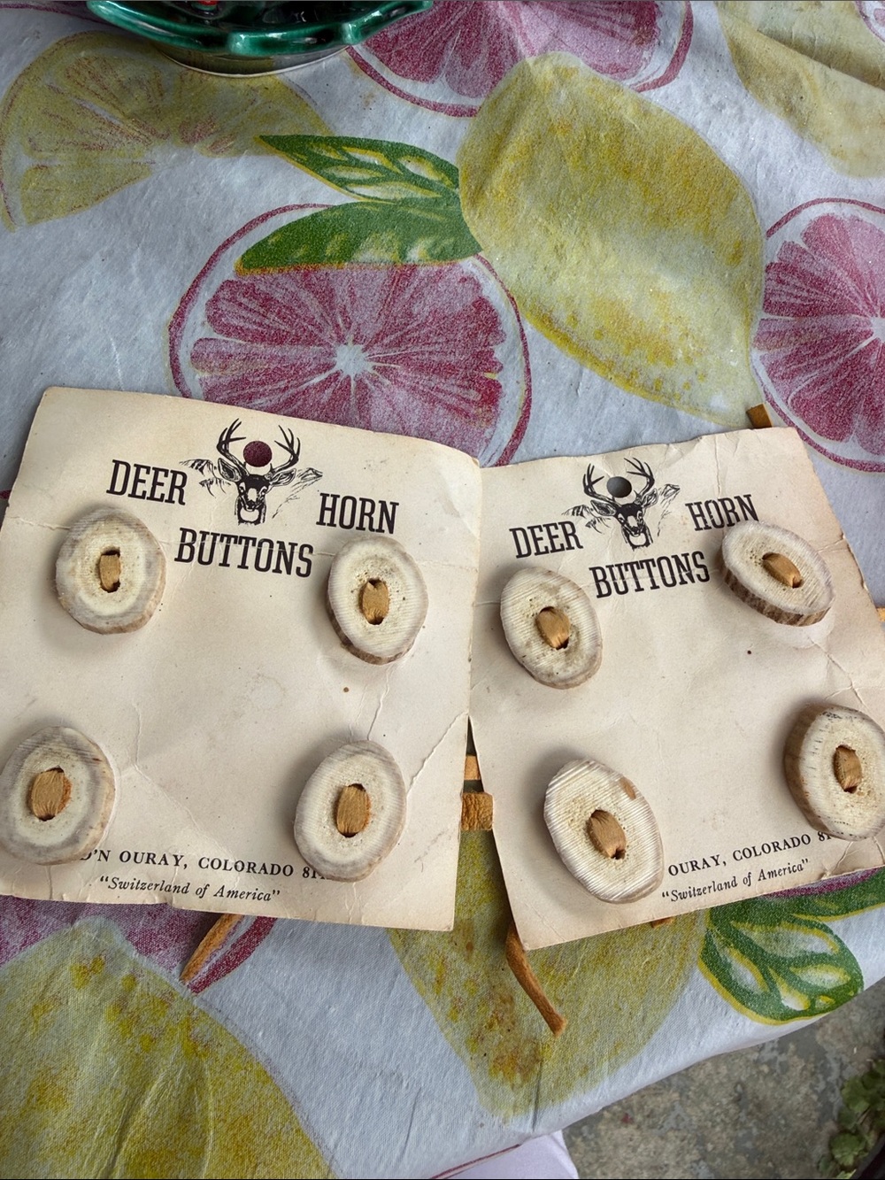 Vintage Deer Horn Buttons 1” set of 8. From natural horns that shed.